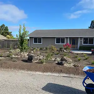 Landscape Maintenance