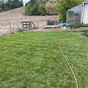 Landscape Maintenance