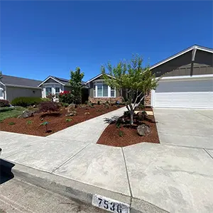 Landscape Maintenance