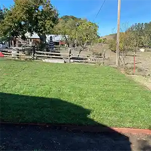 Landscape Maintenance