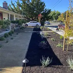 Landscape Maintenance