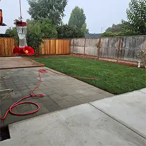 Landscape Maintenance