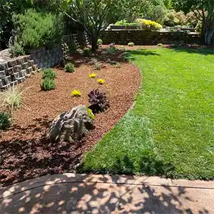 Landscape Maintenance