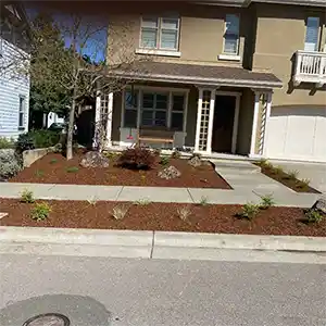 Landscape Maintenance