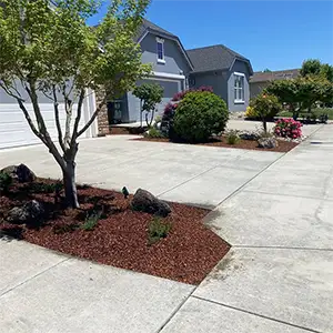 Landscape Maintenance