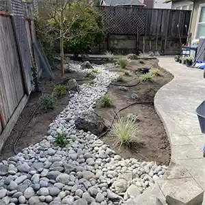 Landscape Maintenance