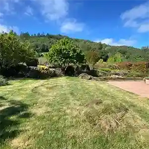 Landscape Maintenance