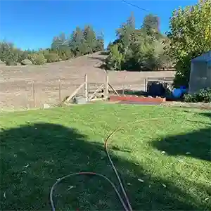 Landscape Maintenance