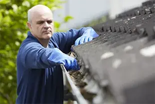 Gutter Cleaning